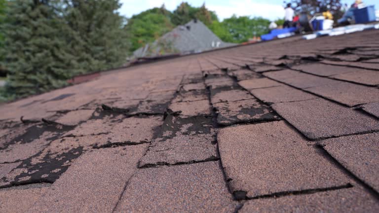 Best Rubber Roofing (EPDM, TPO)  in Tresckow, PA
